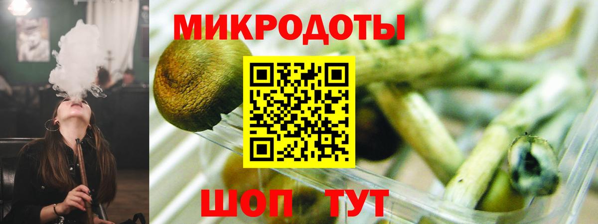 Псилоцибиновые грибы Psilocybe Курчалой